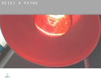 Reiki a  Payne