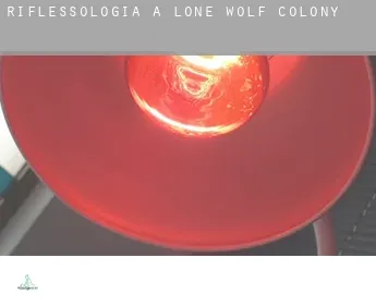 Riflessologia a  Lone Wolf Colony