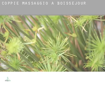 Coppie massaggio a  Boisséjour