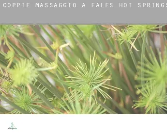 Coppie massaggio a  Fales Hot Springs