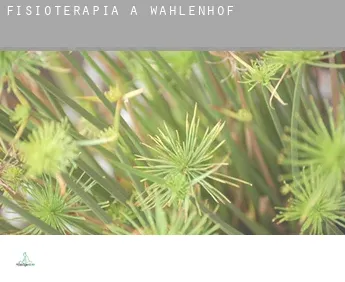 Fisioterapia a  Wahlenhof