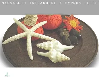 Massaggio tailandese a  Cyprus Heights