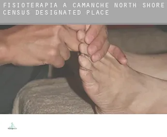 Fisioterapia a  Camanche North Shore