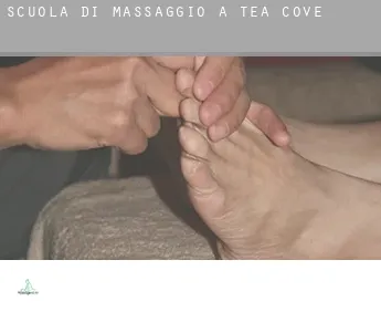 Scuola di massaggio a  Tea Cove