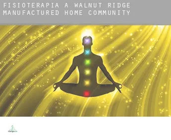 Fisioterapia a  Walnut Ridge Manufactured Home Community