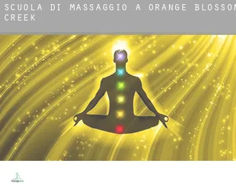 Scuola di massaggio a  Orange Blossom Creek