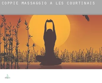 Coppie massaggio a  Les Courtinais