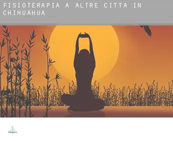 Fisioterapia a  Altre città in Chihuahua
