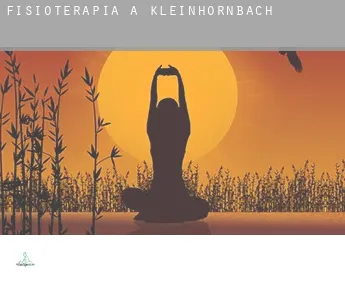 Fisioterapia a  Kleinhornbach