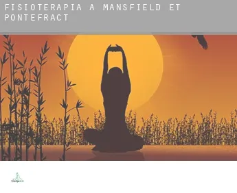 Fisioterapia a  Mansfield-et-Pontefract