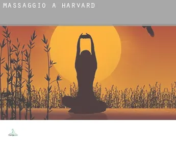 Massaggio a  Harvard