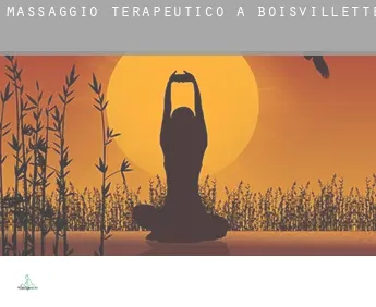 Massaggio terapeutico a  Boisvillette