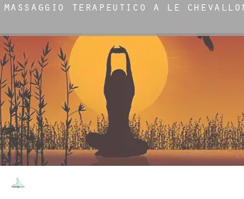 Massaggio terapeutico a  Le Chevallon