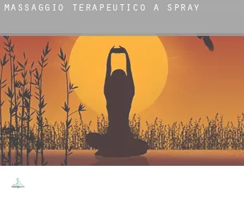Massaggio terapeutico a  Spray