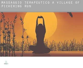 Massaggio terapeutico a  Village of Pickering Run