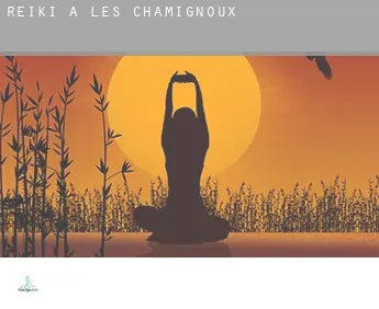 Reiki a  Les Chamignoux