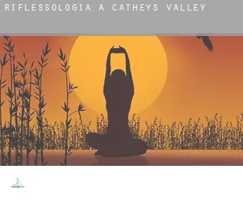 Riflessologia a  Catheys Valley