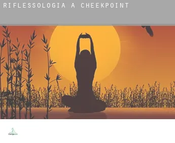 Riflessologia a  Cheekpoint