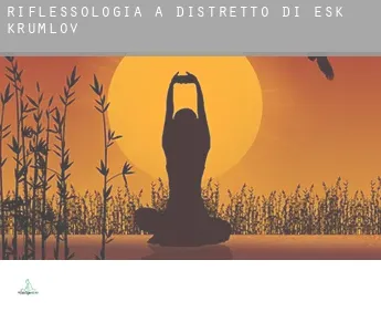 Riflessologia a  Distretto di Český Krumlov