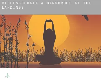 Riflessologia a  Marshwood at the Landings