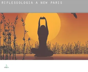 Riflessologia a  New Paris