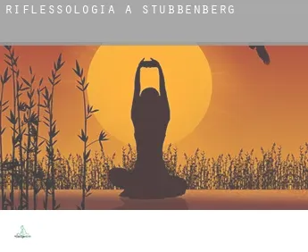 Riflessologia a  Stubbenberg