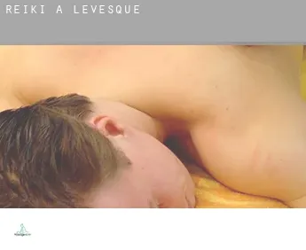 Reiki a Levesque