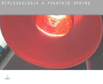 Riflessologia a  Fountain Spring