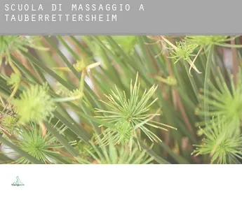 Scuola di massaggio a  Tauberrettersheim