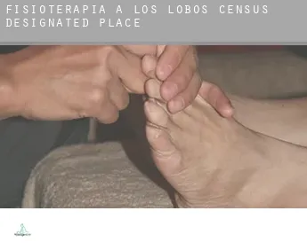 Fisioterapia a  Los Lobos