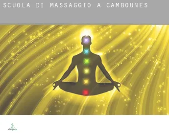 Scuola di massaggio a  Cambounès