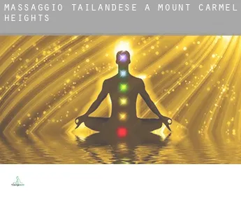 Massaggio tailandese a  Mount Carmel Heights