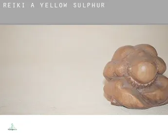 Reiki a  Yellow Sulphur