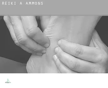 Reiki a  Ammons