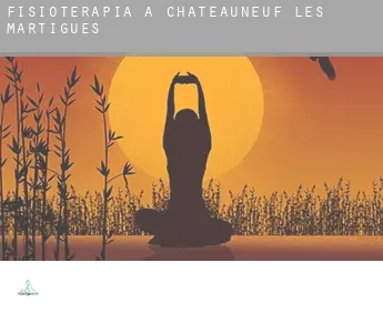 Fisioterapia a  Châteauneuf-les-Martigues