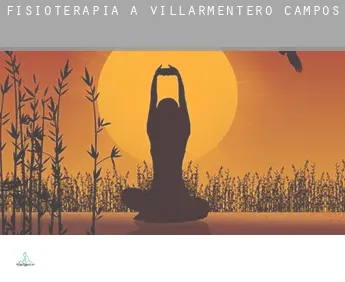 Fisioterapia a  Villarmentero de Campos