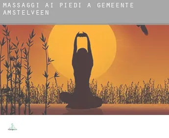 Massaggi ai piedi a  Gemeente Amstelveen