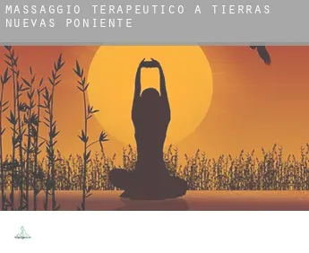 Massaggio terapeutico a  Tierras Nuevas Poniente
