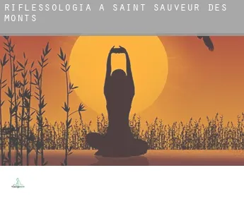 Riflessologia a  Saint-Sauveur-des-Monts