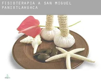 Fisioterapia a  San Miguel Panixtlahuaca