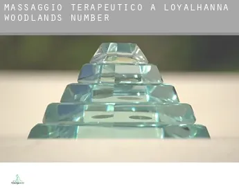 Massaggio terapeutico a  Loyalhanna Woodlands Number 1