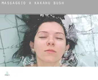 Massaggio a  Kakahu Bush