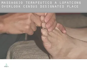 Massaggio terapeutico a  Lopatcong Overlook