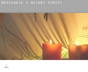Massaggio a  Quinby Forest