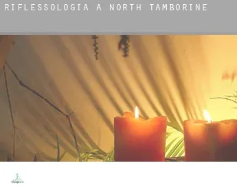 Riflessologia a  North Tamborine