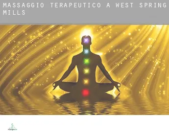 Massaggio terapeutico a  West Spring Mills