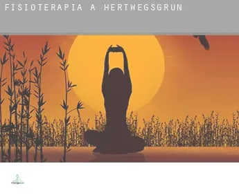 Fisioterapia a  Hertwegsgrün