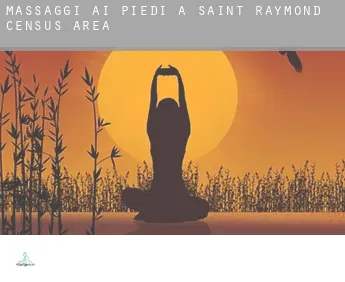 Massaggi ai piedi a  Saint-Raymond (census area)