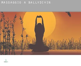 Massaggio a  Ballydivin