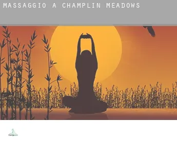 Massaggio a  Champlin Meadows